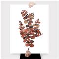 Picture of Rust Color Eucalyptus II  _GroupedProduct_Rectangle_Portrait_Canvas_