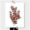 Picture of Rust Color Eucalyptus II  _GroupedProduct_Rectangle_Portrait_Canvas_