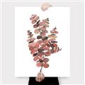 Picture of Pink Color Eucalyptus II _GroupedProduct_Rectangle_Portrait_Canvas_
