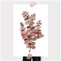 Picture of Pink Color Eucalyptus II _GroupedProduct_Rectangle_Portrait_Canvas_