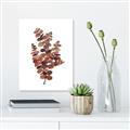 Picture of Rust Color Eucalyptus II  _GroupedProduct_Rectangle_Portrait_Canvas_