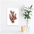 Picture of Rust Color Eucalyptus II  _GroupedProduct_Rectangle_Portrait_Canvas_