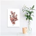 Picture of Pink Color Eucalyptus II _GroupedProduct_Rectangle_Portrait_Canvas_