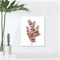 Picture of Pink Color Eucalyptus II _GroupedProduct_Rectangle_Portrait_Canvas_