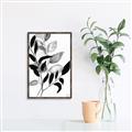 Picture of Black Botanical _GroupedProduct_Rectangle_Portrait_Canvas_Framed_