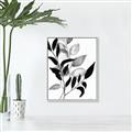 Picture of Black Botanical _GroupedProduct_Rectangle_Portrait_Canvas_Framed_