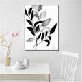 Picture of Black Botanical _GroupedProduct_Rectangle_Portrait_Canvas_Framed_