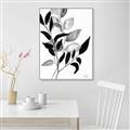 Picture of Black Botanical _GroupedProduct_Rectangle_Portrait_Canvas_Framed_