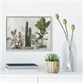 Picture of Plant Group _GroupedProduct_Rectangle_Landscape_Canvas_Framed_