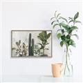 Picture of Plant Group _GroupedProduct_Rectangle_Landscape_Canvas_Framed_
