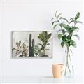 Picture of Plant Group _GroupedProduct_Rectangle_Landscape_Canvas_Framed_