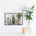 Picture of Plant Group _GroupedProduct_Rectangle_Landscape_Canvas_Framed_