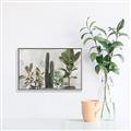 Picture of Plant Group _GroupedProduct_Rectangle_Landscape_Canvas_Framed_