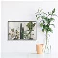 Picture of Plant Group _GroupedProduct_Rectangle_Landscape_Canvas_Framed_