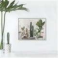 Picture of Plant Group _GroupedProduct_Rectangle_Landscape_Canvas_Framed_