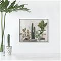 Picture of Plant Group _GroupedProduct_Rectangle_Landscape_Canvas_Framed_