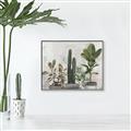 Picture of Plant Group _GroupedProduct_Rectangle_Landscape_Canvas_Framed_