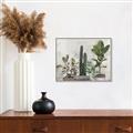 Picture of Plant Group _GroupedProduct_Rectangle_Landscape_Canvas_Framed_