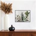 Picture of Plant Group _GroupedProduct_Rectangle_Landscape_Canvas_Framed_