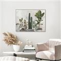 Picture of Plant Group _GroupedProduct_Rectangle_Landscape_Canvas_Framed_