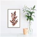 Picture of Rust Color Eucalyptus I  _GroupedProduct_Rectangle_Portrait_Canvas_Framed_