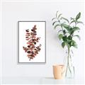 Picture of Rust Color Eucalyptus I  _GroupedProduct_Rectangle_Portrait_Canvas_Framed_