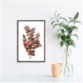 Picture of Rust Color Eucalyptus II  _GroupedProduct_Rectangle_Portrait_Canvas_Framed_