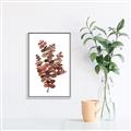 Picture of Rust Color Eucalyptus II  _GroupedProduct_Rectangle_Portrait_Canvas_Framed_