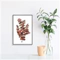 Picture of Rust Color Eucalyptus II  _GroupedProduct_Rectangle_Portrait_Canvas_Framed_