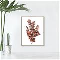 Picture of Rust Color Eucalyptus II  _GroupedProduct_Rectangle_Portrait_Canvas_Framed_