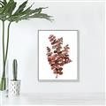 Picture of Rust Color Eucalyptus II  _GroupedProduct_Rectangle_Portrait_Canvas_Framed_