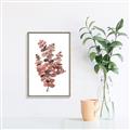 Picture of Pink Color Eucalyptus II _GroupedProduct_Rectangle_Portrait_Canvas_Framed_