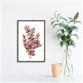 Picture of Pink Color Eucalyptus II _GroupedProduct_Rectangle_Portrait_Canvas_Framed_