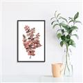 Picture of Pink Color Eucalyptus II _GroupedProduct_Rectangle_Portrait_Canvas_Framed_