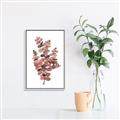 Picture of Pink Color Eucalyptus II _GroupedProduct_Rectangle_Portrait_Canvas_Framed_