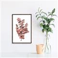 Picture of Pink Color Eucalyptus II _GroupedProduct_Rectangle_Portrait_Canvas_Framed_