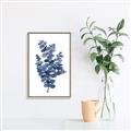 Picture of Blue Color Eucalyptus II  _GroupedProduct_Rectangle_Portrait_Canvas_Framed_