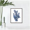 Picture of Blue Color Eucalyptus II  _GroupedProduct_Rectangle_Portrait_Canvas_Framed_