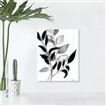 Picture of Black Botanical _GroupedProduct_Rectangle_Portrait_Unframed_Print_Only_