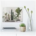 Picture of Plant Group _GroupedProduct_Rectangle_Landscape_Unframed_Print_Only_