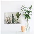 Picture of Plant Group _GroupedProduct_Rectangle_Landscape_Unframed_Print_Only_