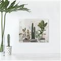 Picture of Plant Group _GroupedProduct_Rectangle_Landscape_Unframed_Print_Only_