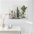 Picture of Plant Group _GroupedProduct_Rectangle_Landscape_Unframed_Print_Only_