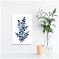 Picture of Blue Color Eucalyptus I  _GroupedProduct_Rectangle_Portrait_Unframed_Print_Only_