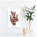 Picture of Rust Color Eucalyptus II  _GroupedProduct_Rectangle_Portrait_Unframed_Print_Only_