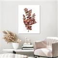 Picture of Rust Color Eucalyptus II  _GroupedProduct_Rectangle_Portrait_Unframed_Print_Only_