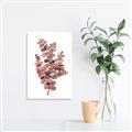 Picture of Pink Color Eucalyptus II _GroupedProduct_Rectangle_Portrait_Unframed_Print_Only_