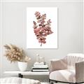 Picture of Pink Color Eucalyptus II _GroupedProduct_Rectangle_Portrait_Unframed_Print_Only_