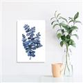 Picture of Blue Color Eucalyptus II  _GroupedProduct_Rectangle_Portrait_Unframed_Print_Only_