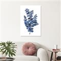 Picture of Blue Color Eucalyptus II  _GroupedProduct_Rectangle_Portrait_Unframed_Print_Only_